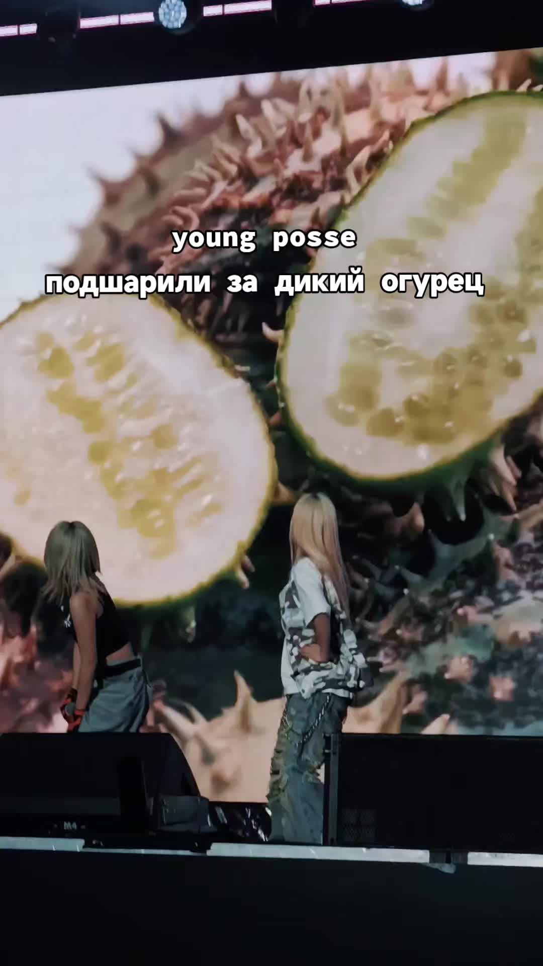 @vellraa