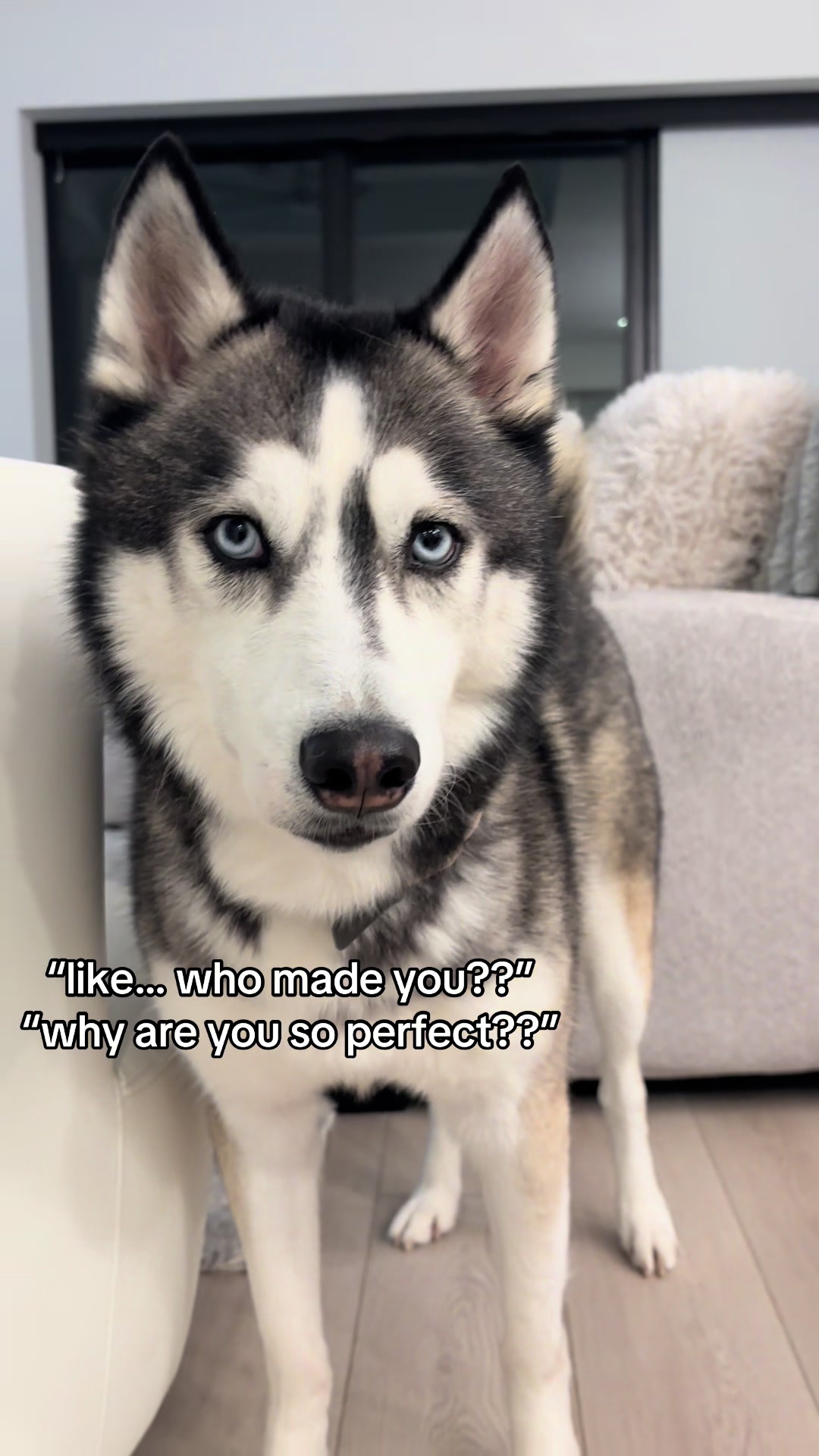 @lifewith2huskies