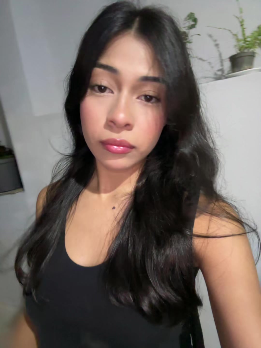 @confleisito