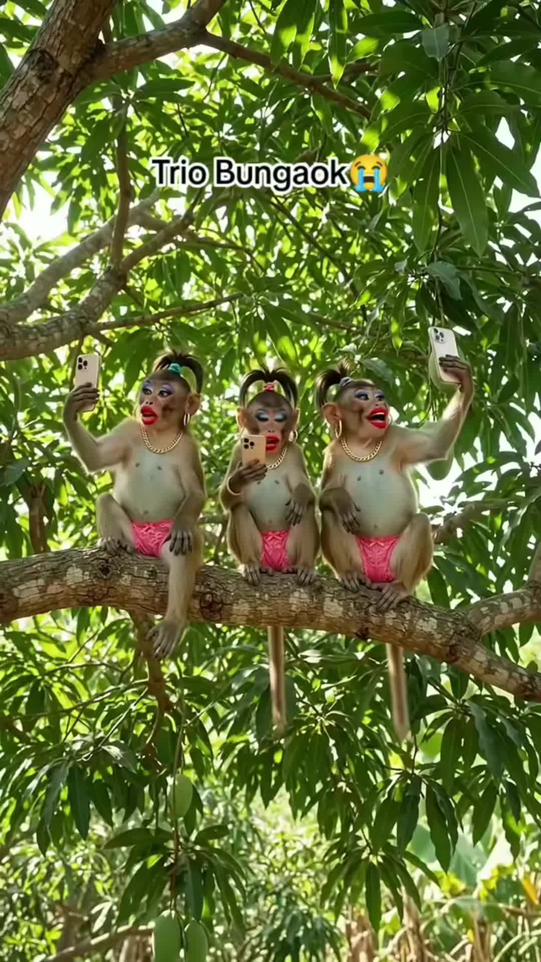 @🥰🥰সুখ পাখি 🥰🥰