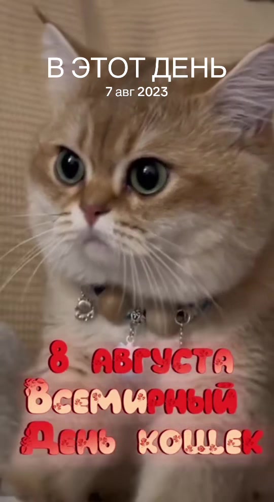 @ValentinKa
