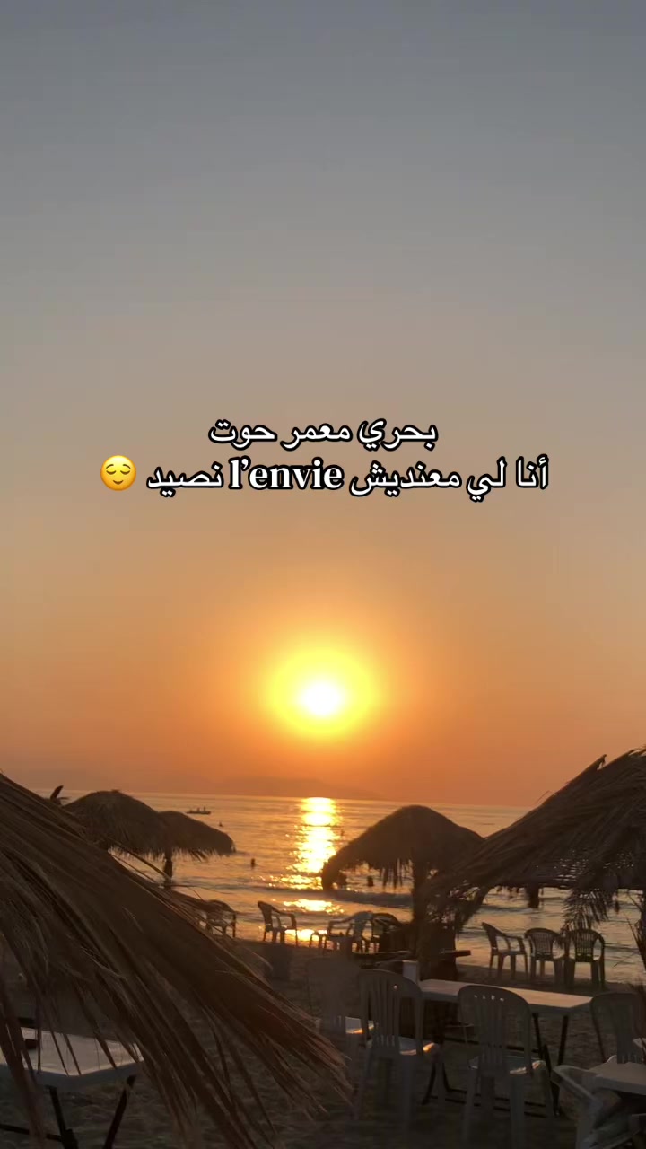 @🕊️