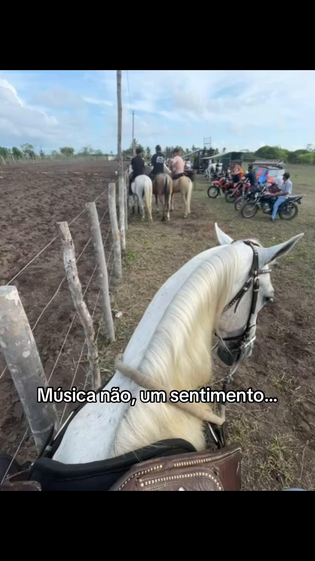 @Vivi Correia