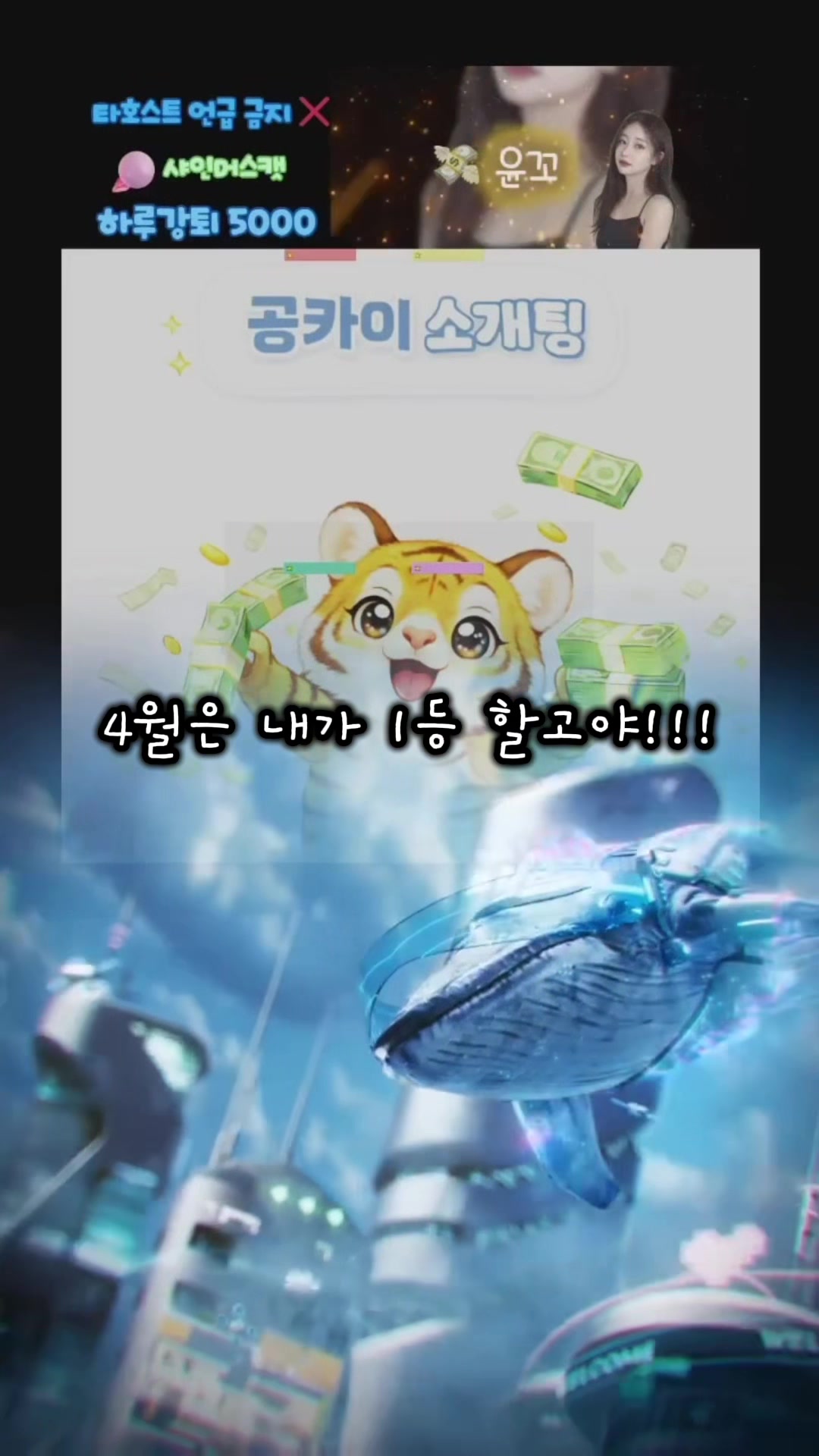 @๐ธ ๊ณต์นด์ด