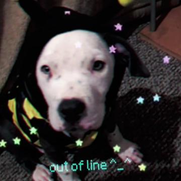 @â¡ïžð±ðððððððð±â¡ïž