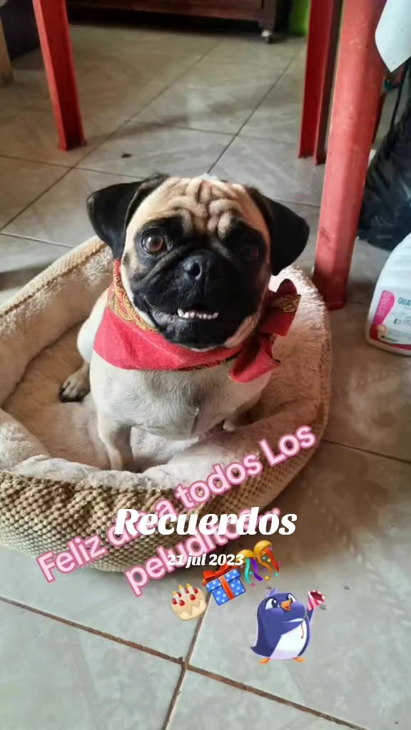 @moli