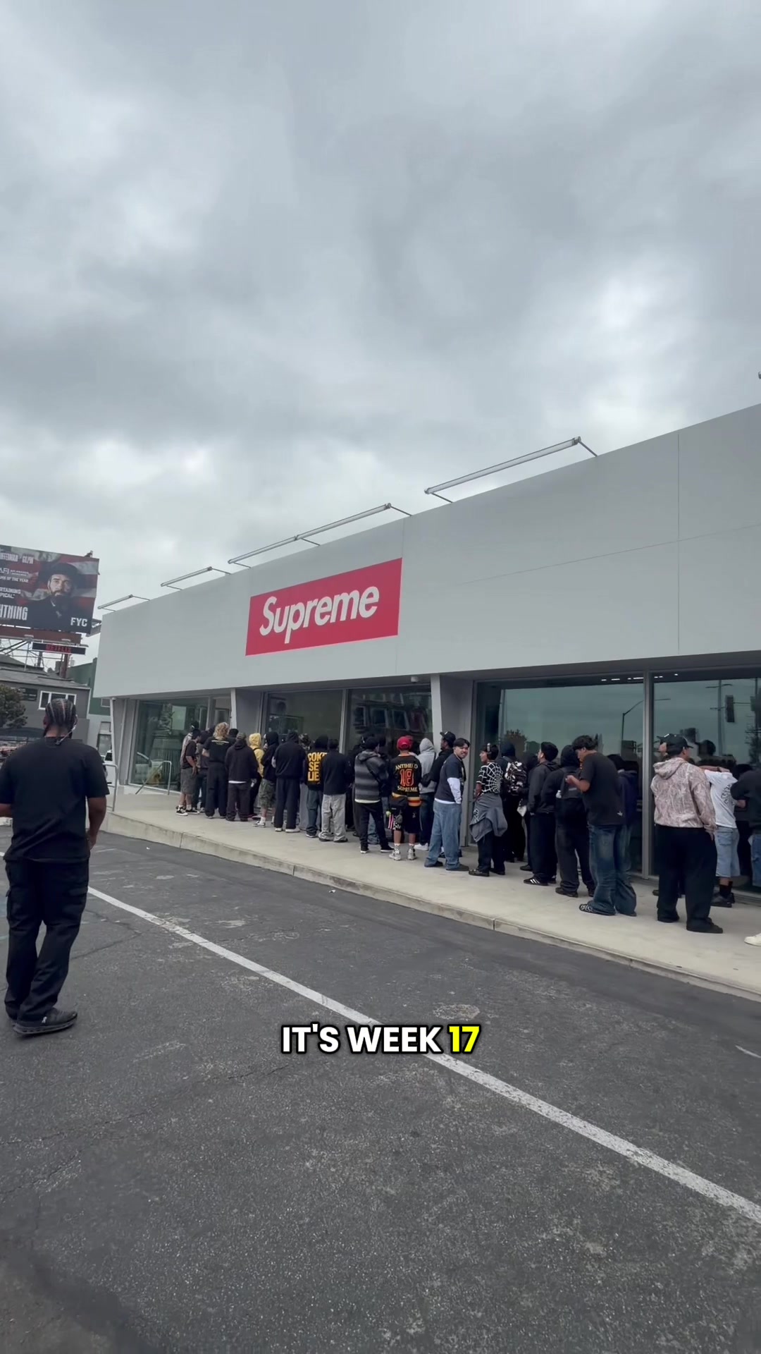 @frank xvx