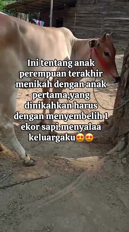@cicikmell19