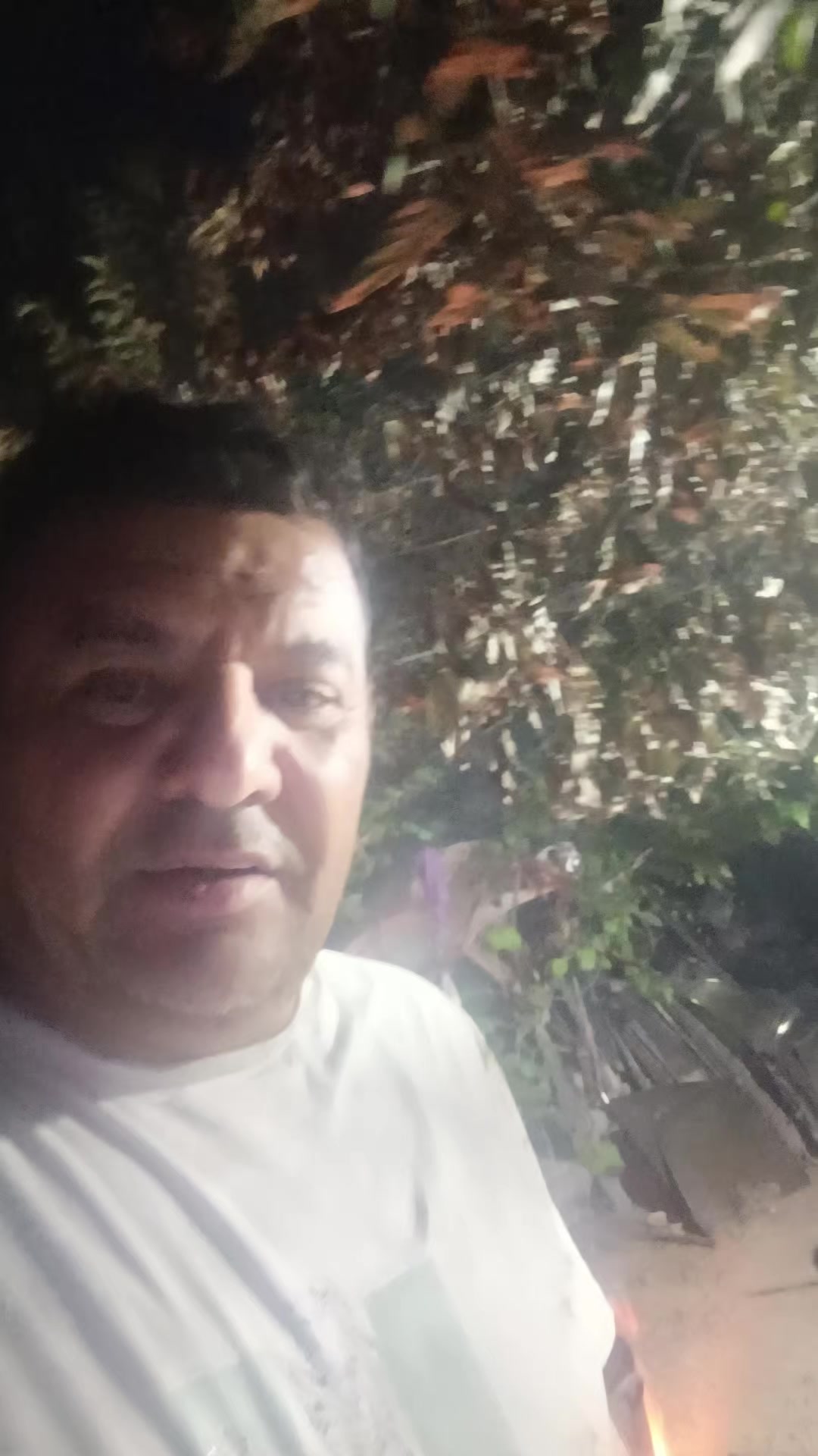 @l&uuml;t___Eşqin