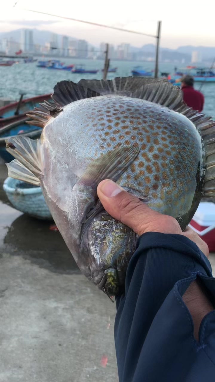 @câu cá Nha Trang