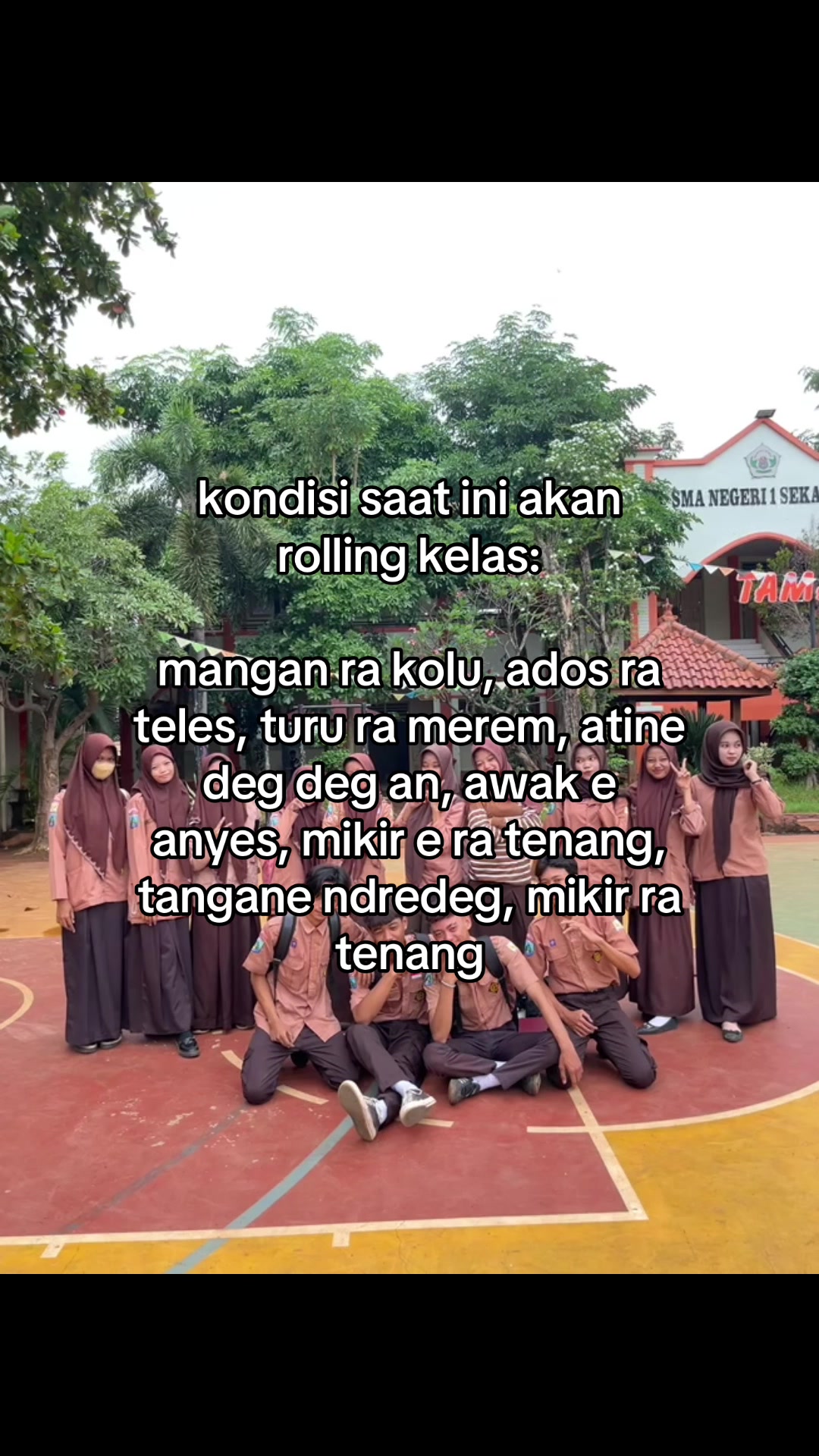 @elsevenstar_