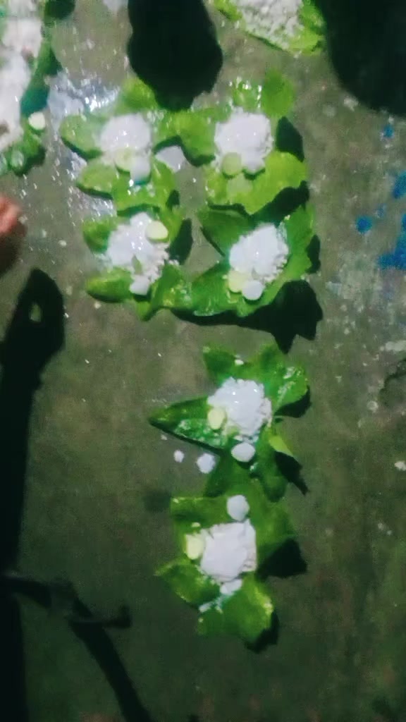 @Mamta Kushwaha40