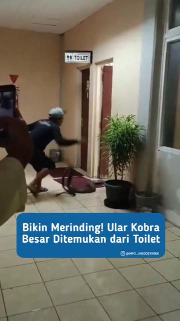 @Info Depok