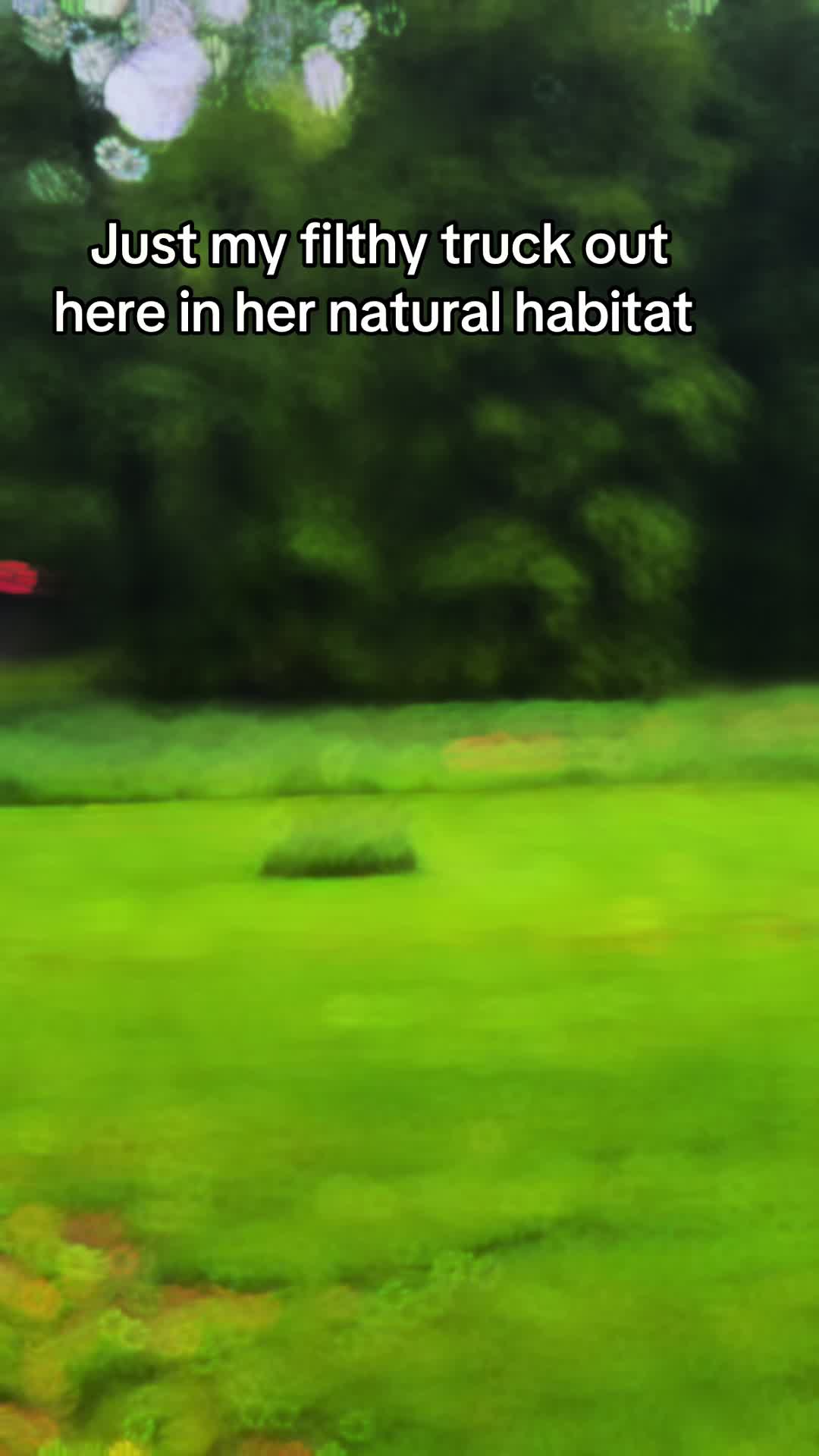 @Rachel