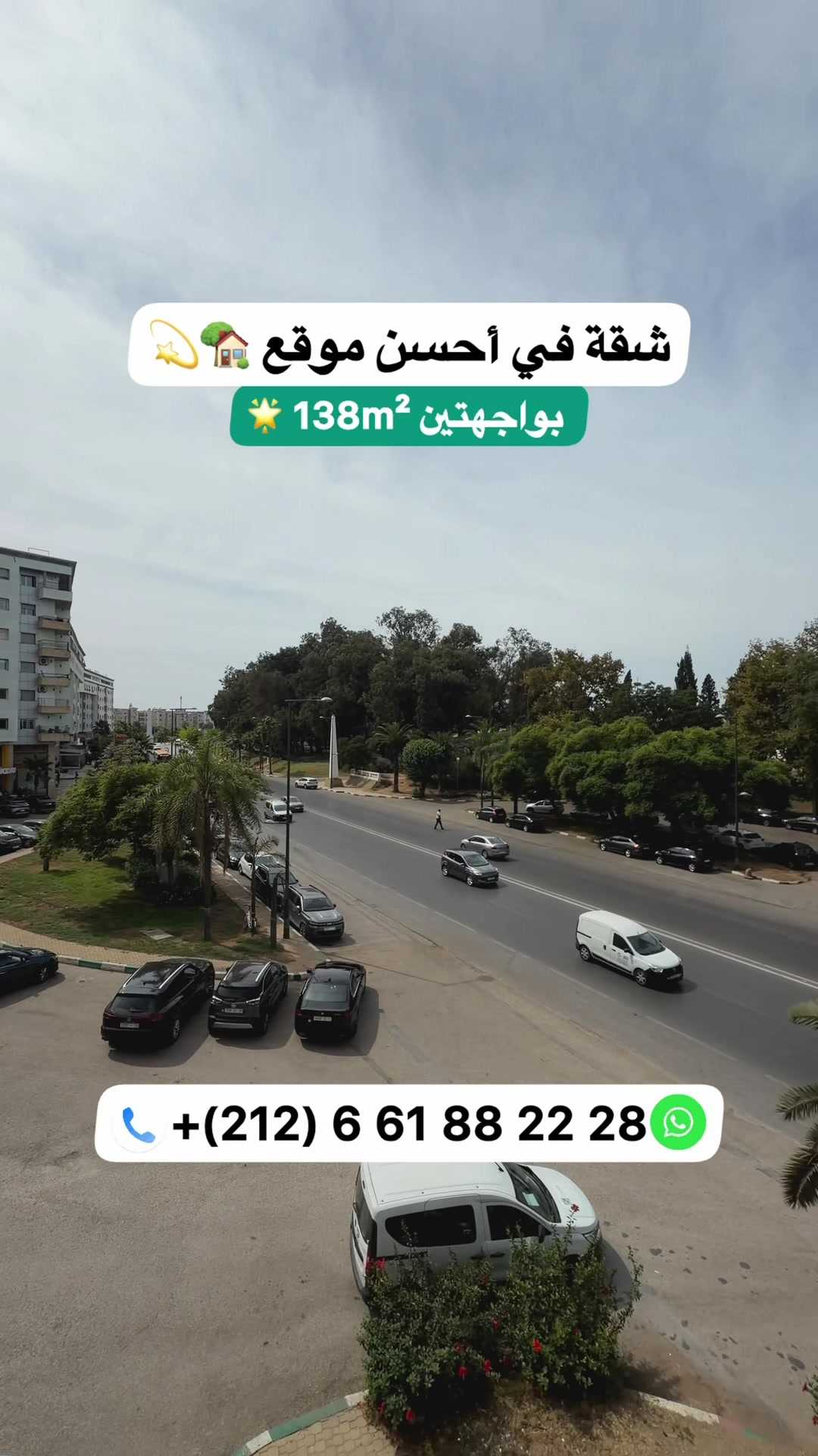 @Zakaria Haddad 🇲🇦🇵🇸