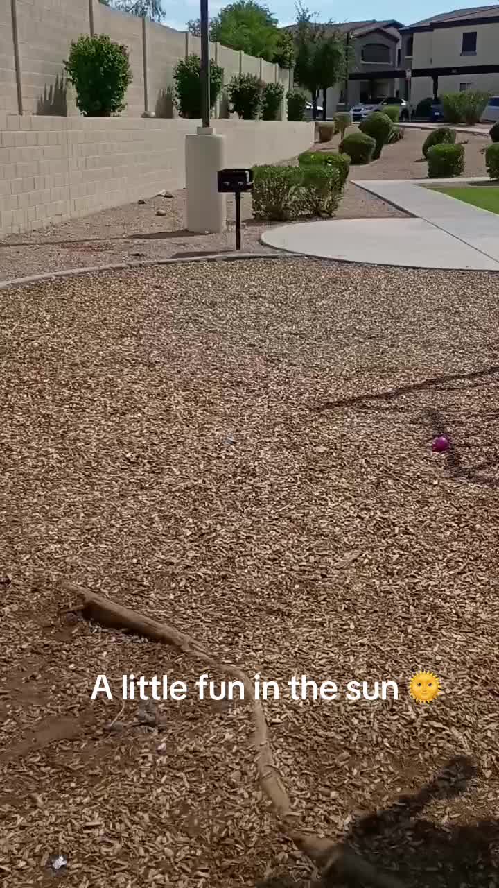 @AsiaLove