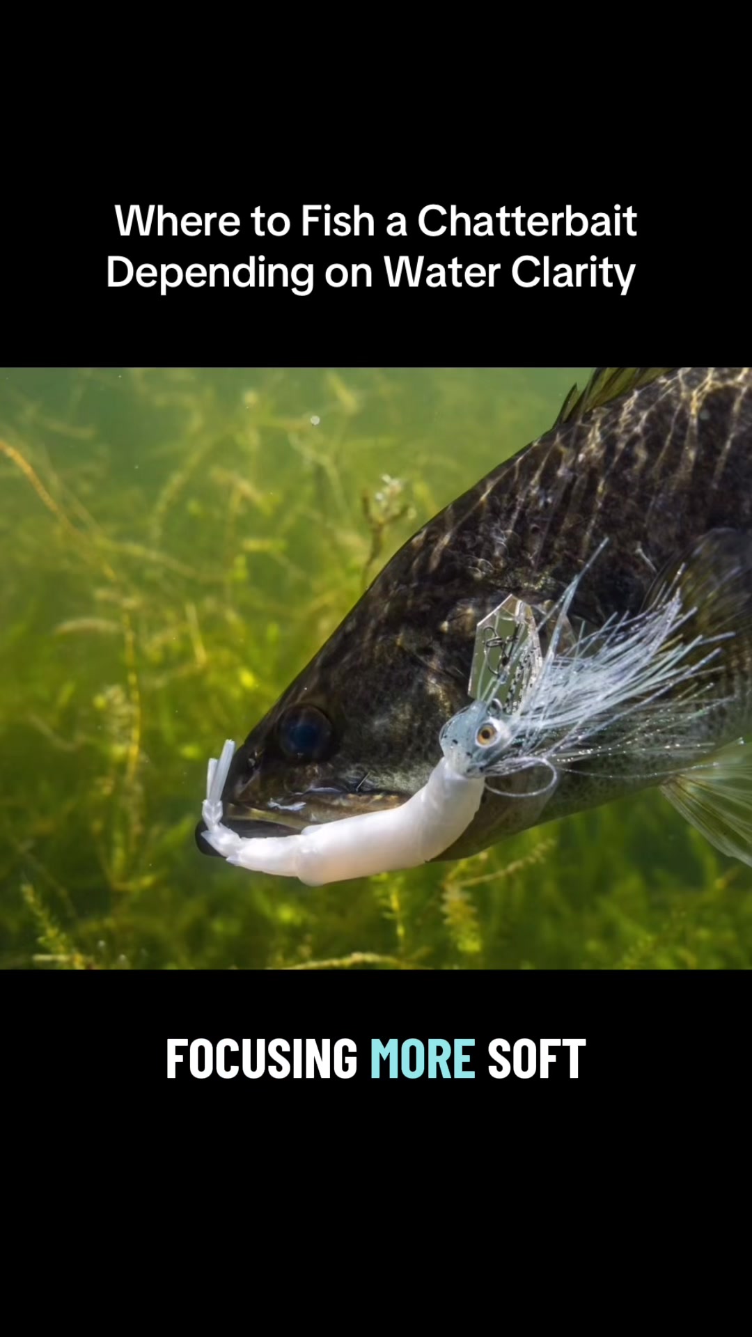 @Matt Fed Fishing