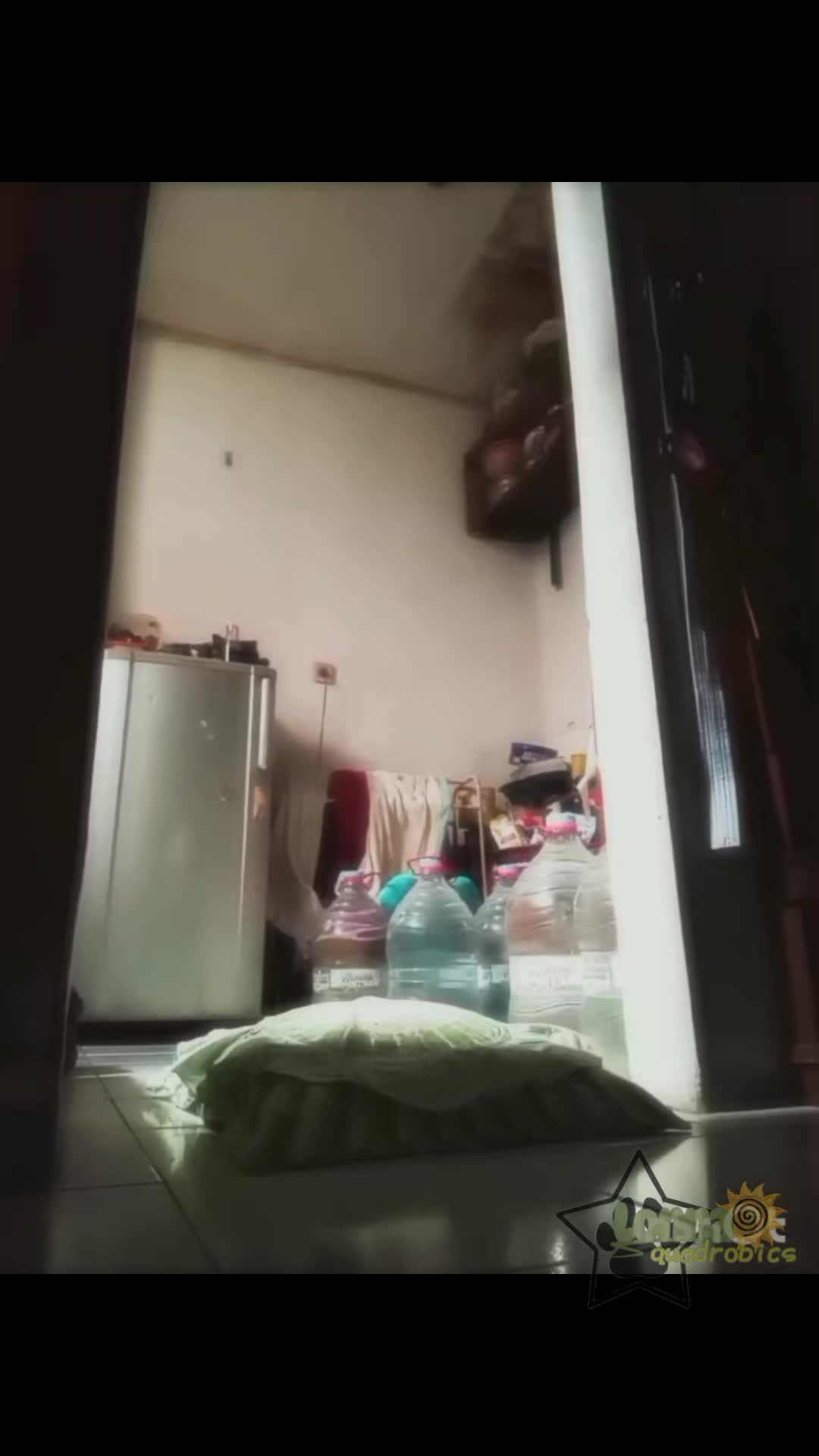 @🐾★~ ☾ 𝐿𝑜𝑛𝑛𝑎 ☽~★🐾