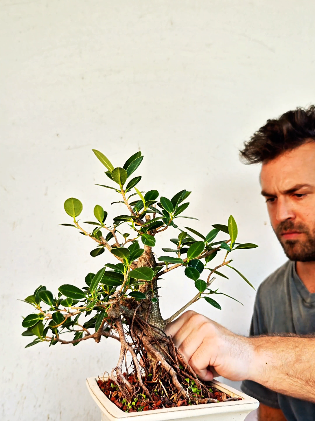 @Bryan Loves Bonsai