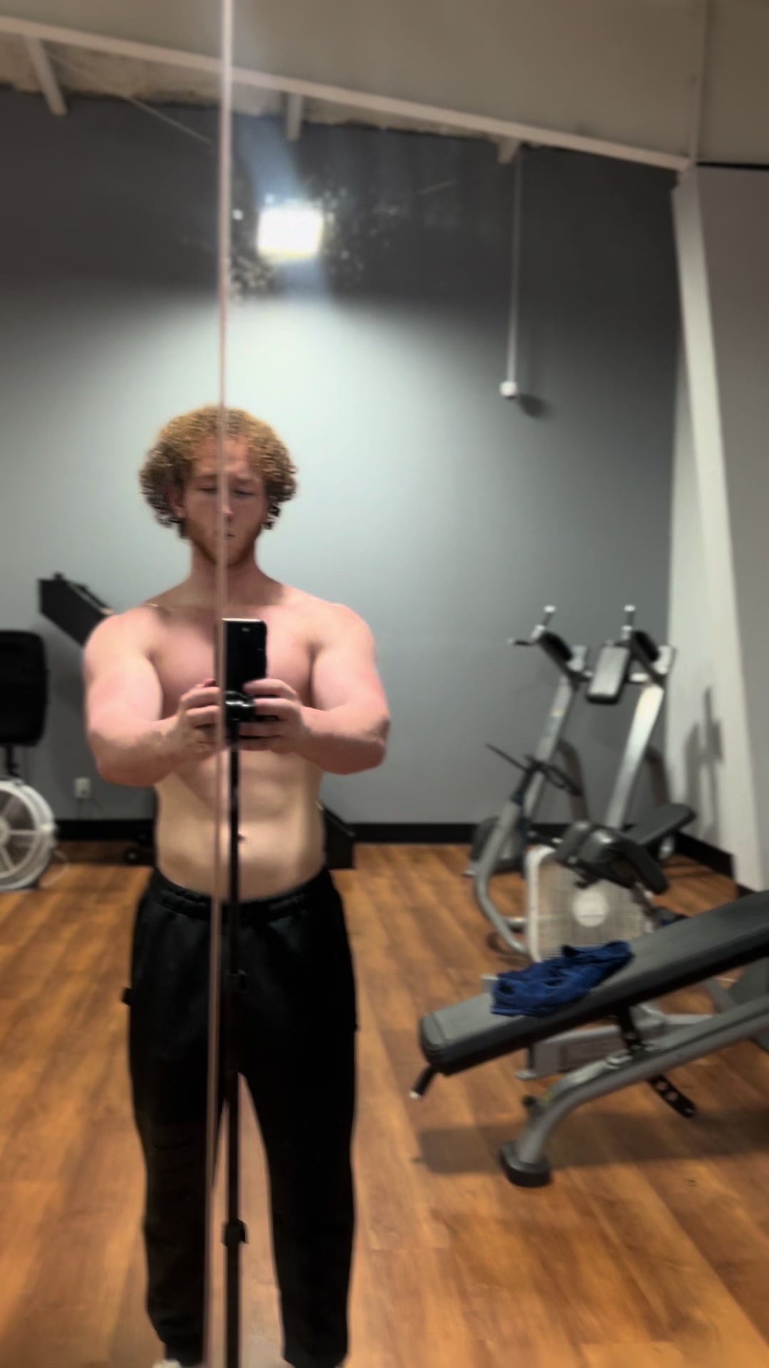 @small_ginger_