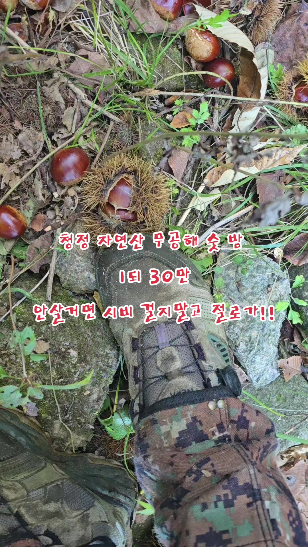 @나는 자연인이다 ~🤪
