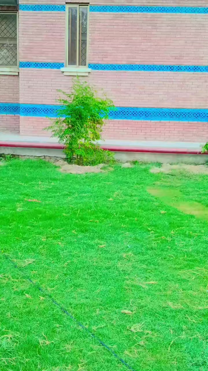 @Muhammad Khalid Abbas
