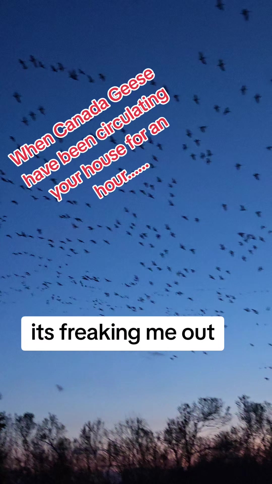@smrczekmom
