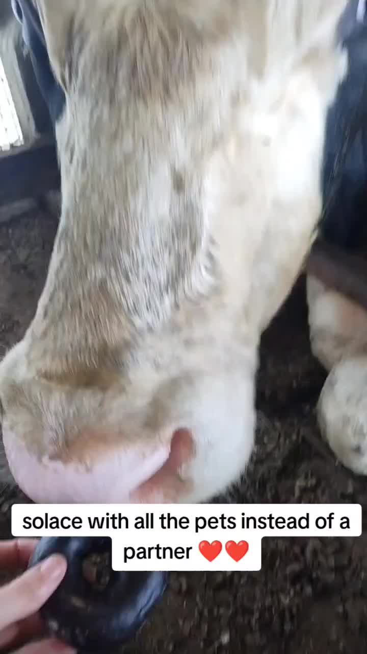 @Dairygirlmel