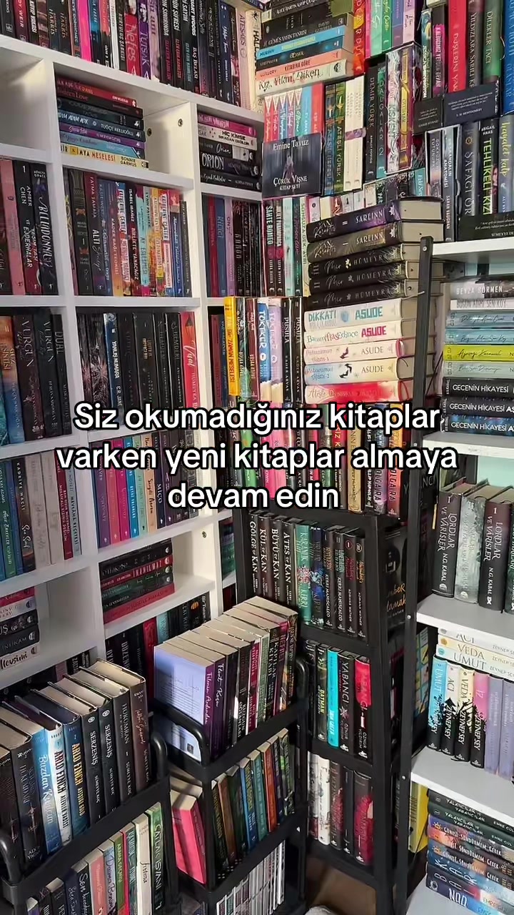 @laviniaabookss