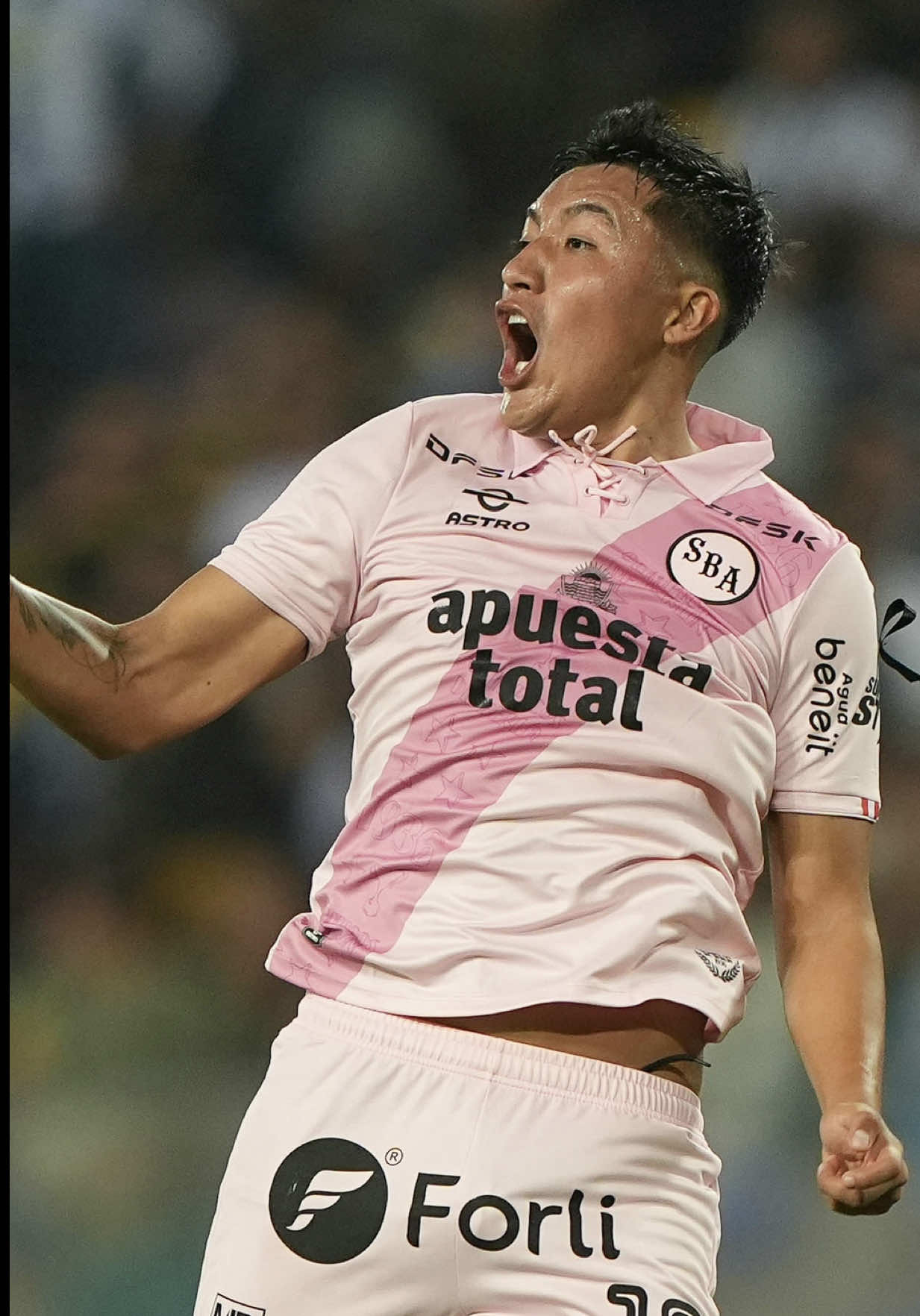 @Liga de F&uacute;tbol Profesional