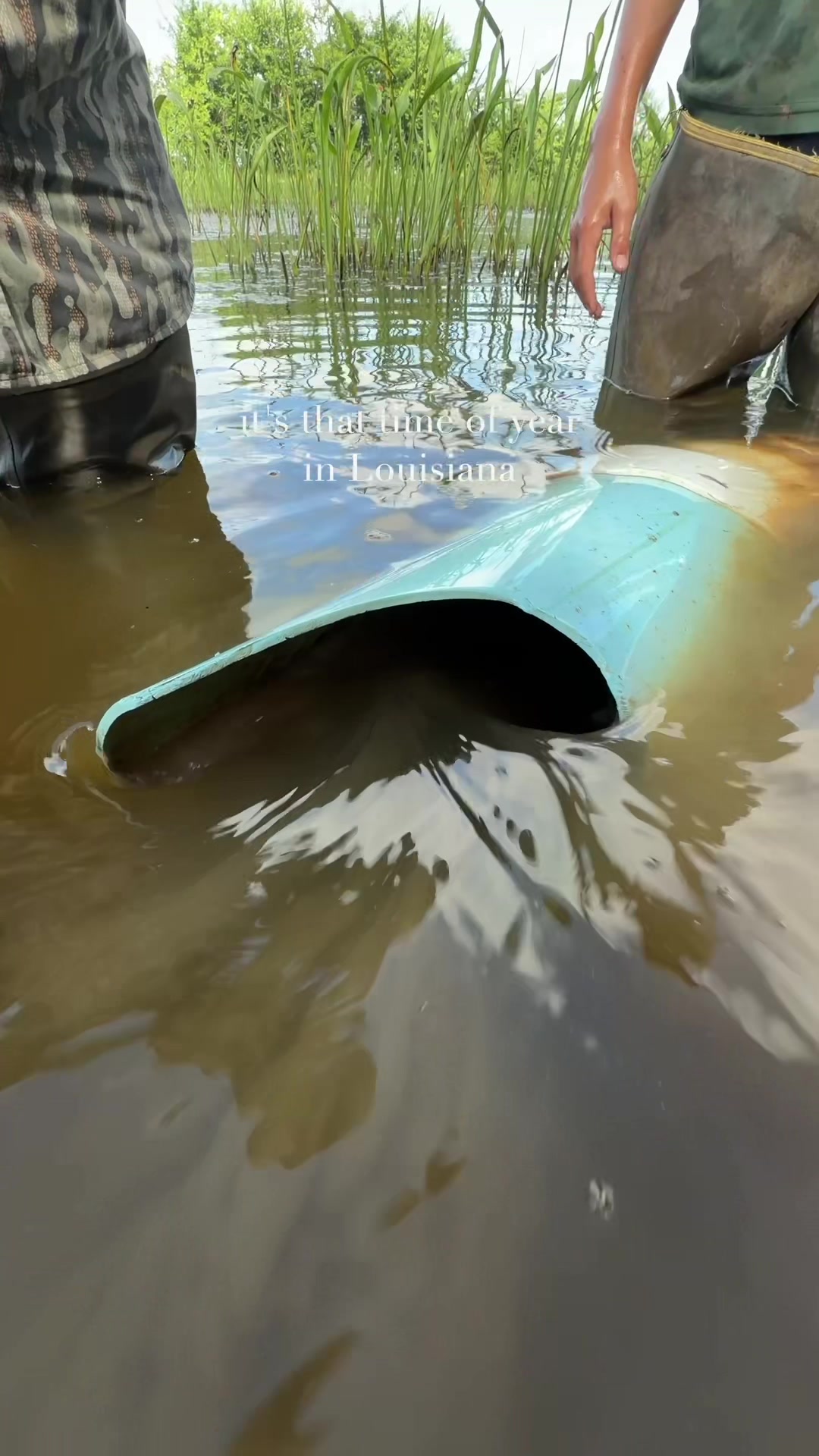 @louisianacrawfishco