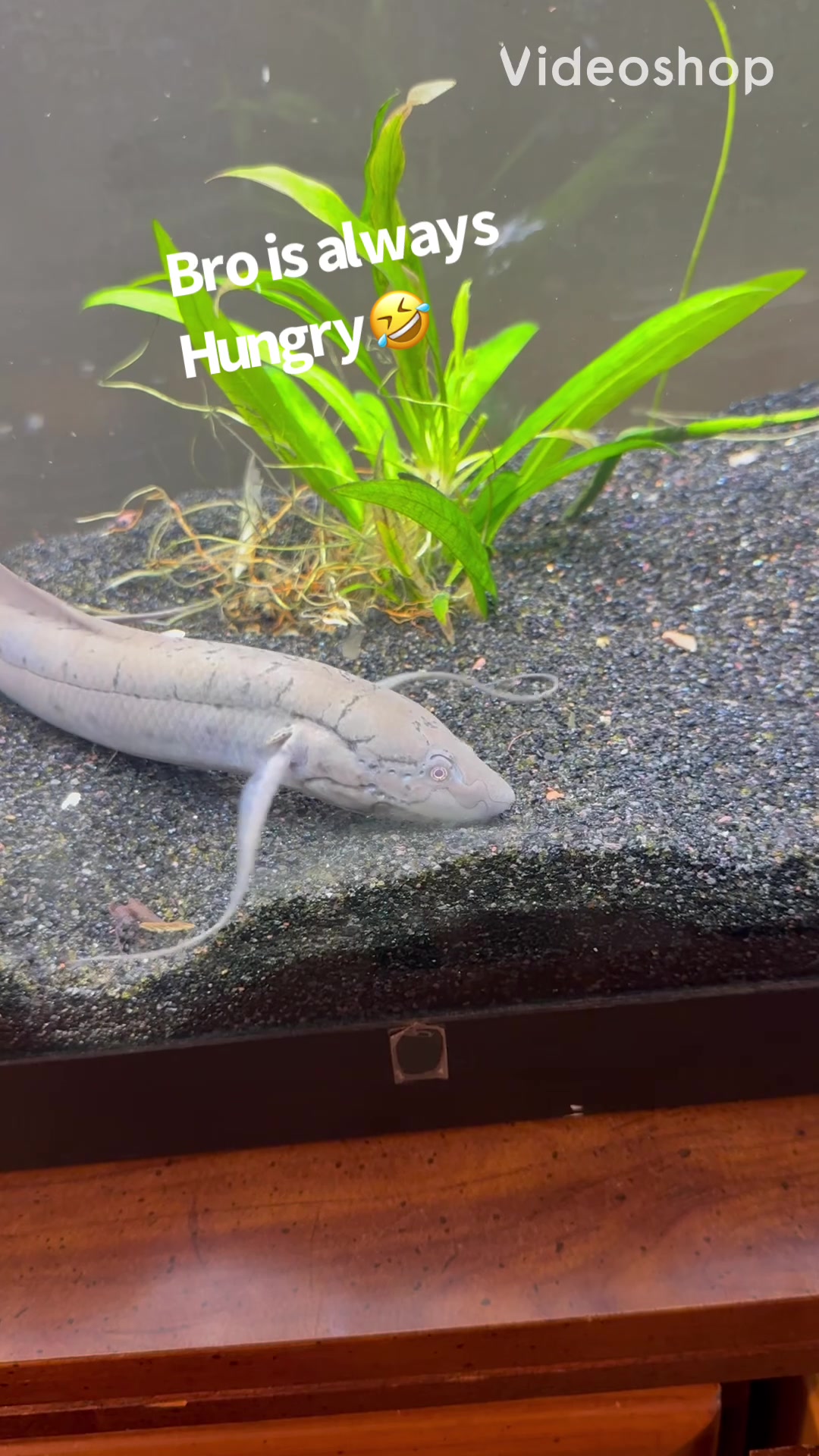 @fishdaddy2002