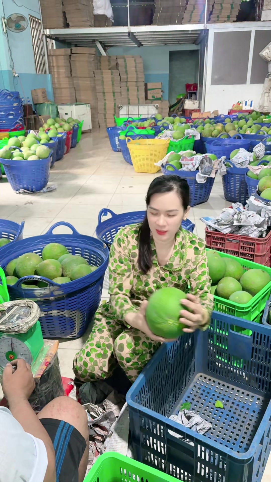 @Bàn tay nhỏ 63B3