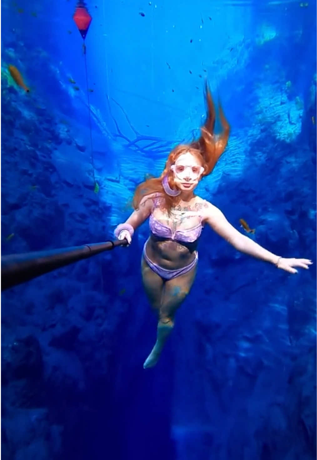 @Coralia Dives 🧜♀️