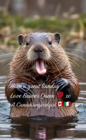 @a.canadiangoodgirl🇨🇦🇮🇹