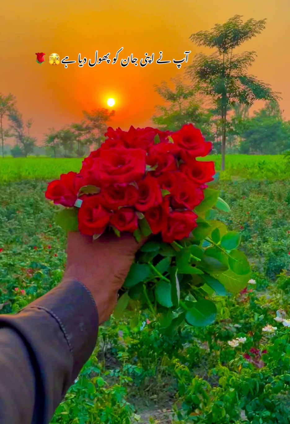 @😎اویس راجپوت🕊️❤️🔥