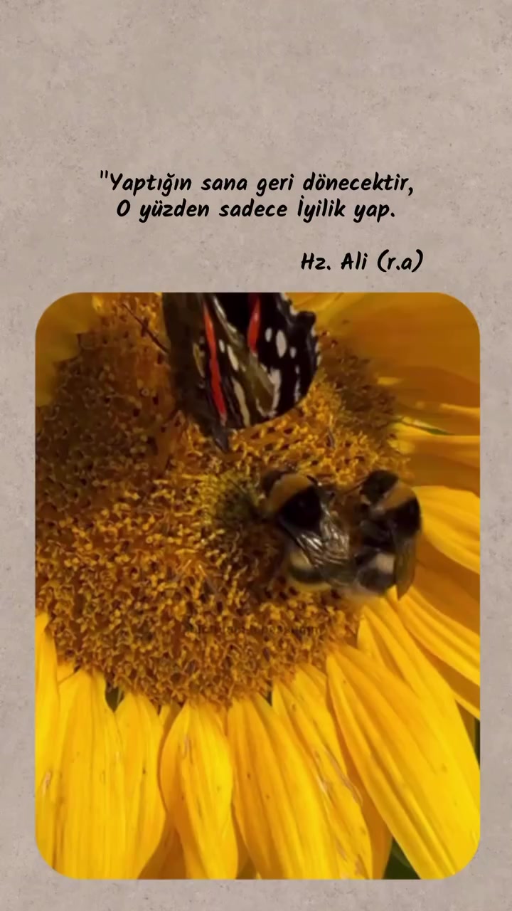 @Serkan Şimşek