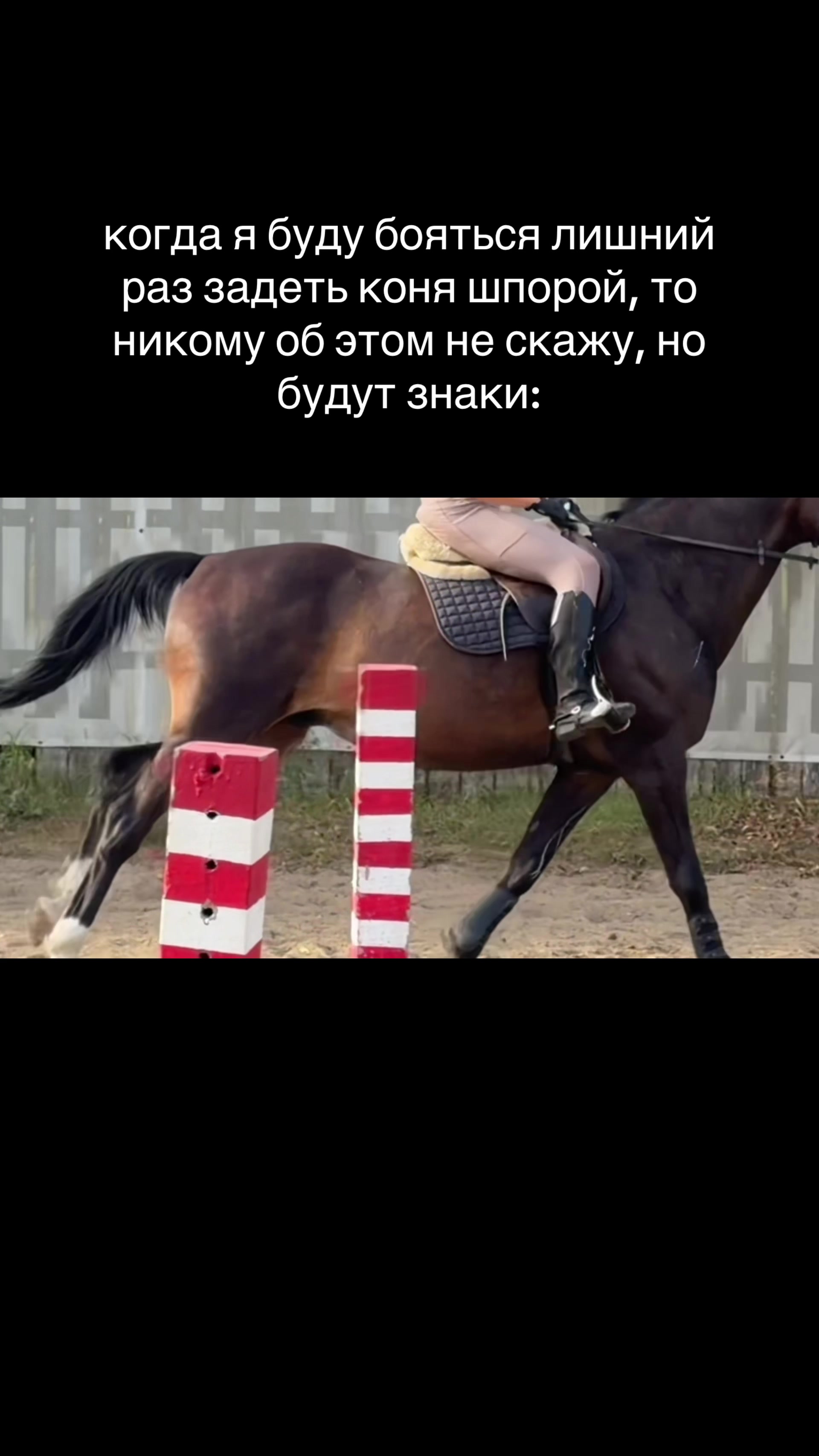 @пыликуснул
