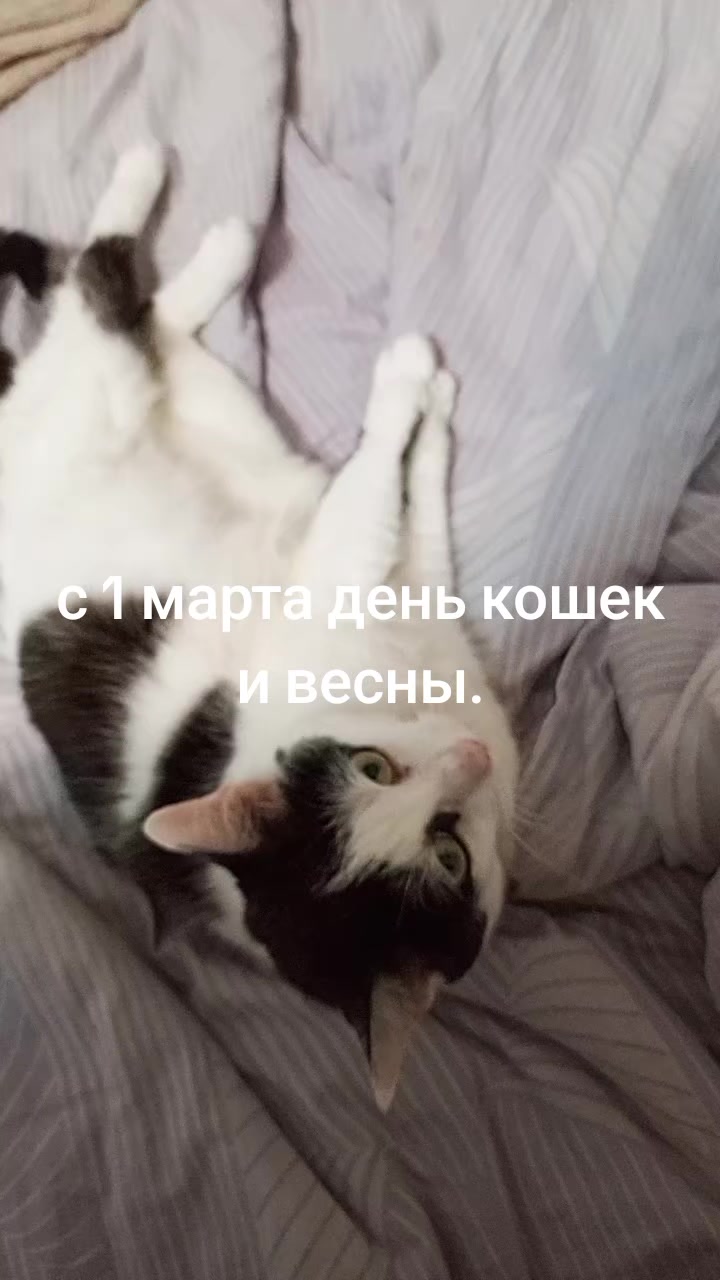 @Ирина