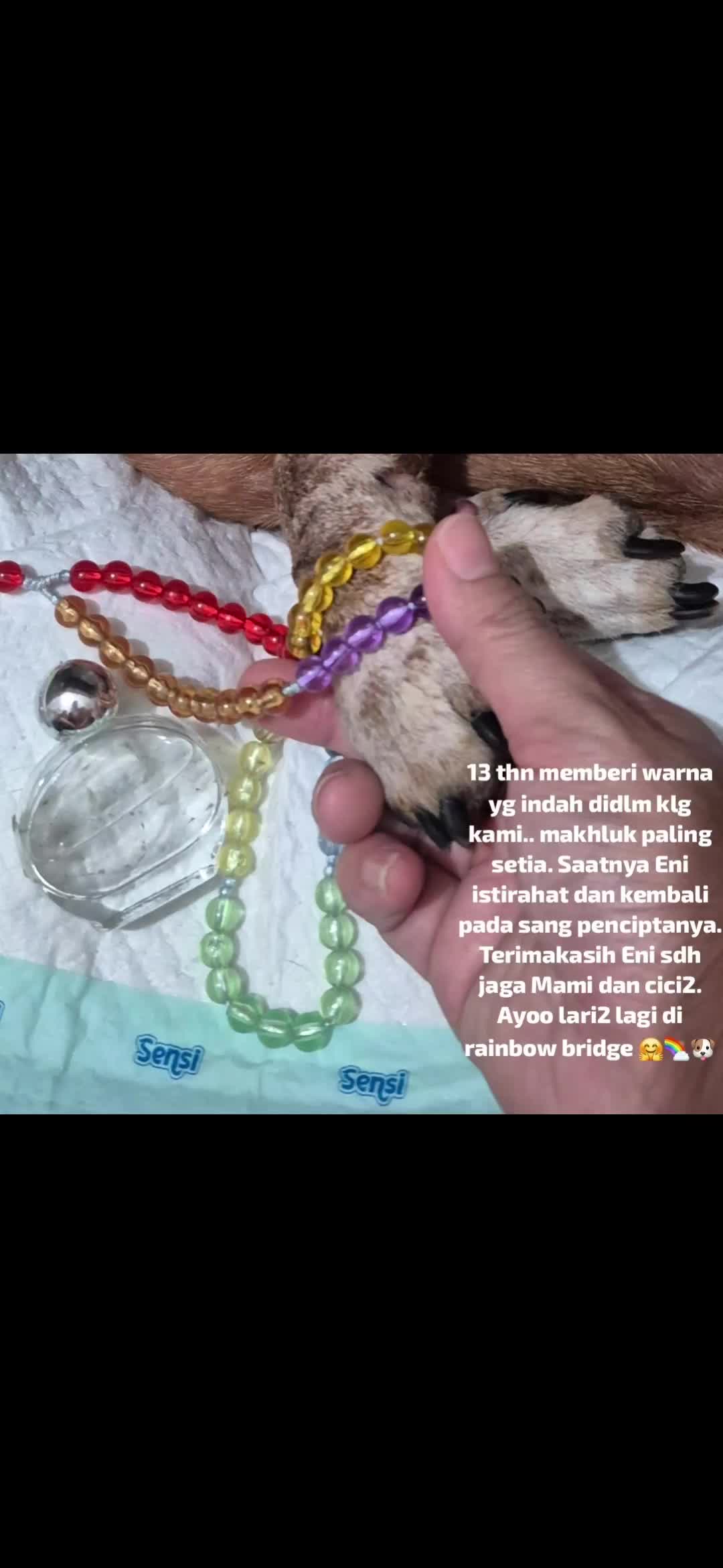 @Koncone Sego