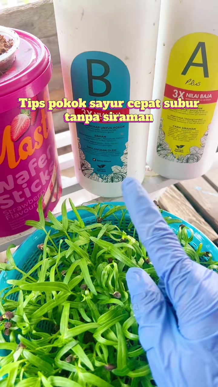 @แดฦณแแฉ ๐