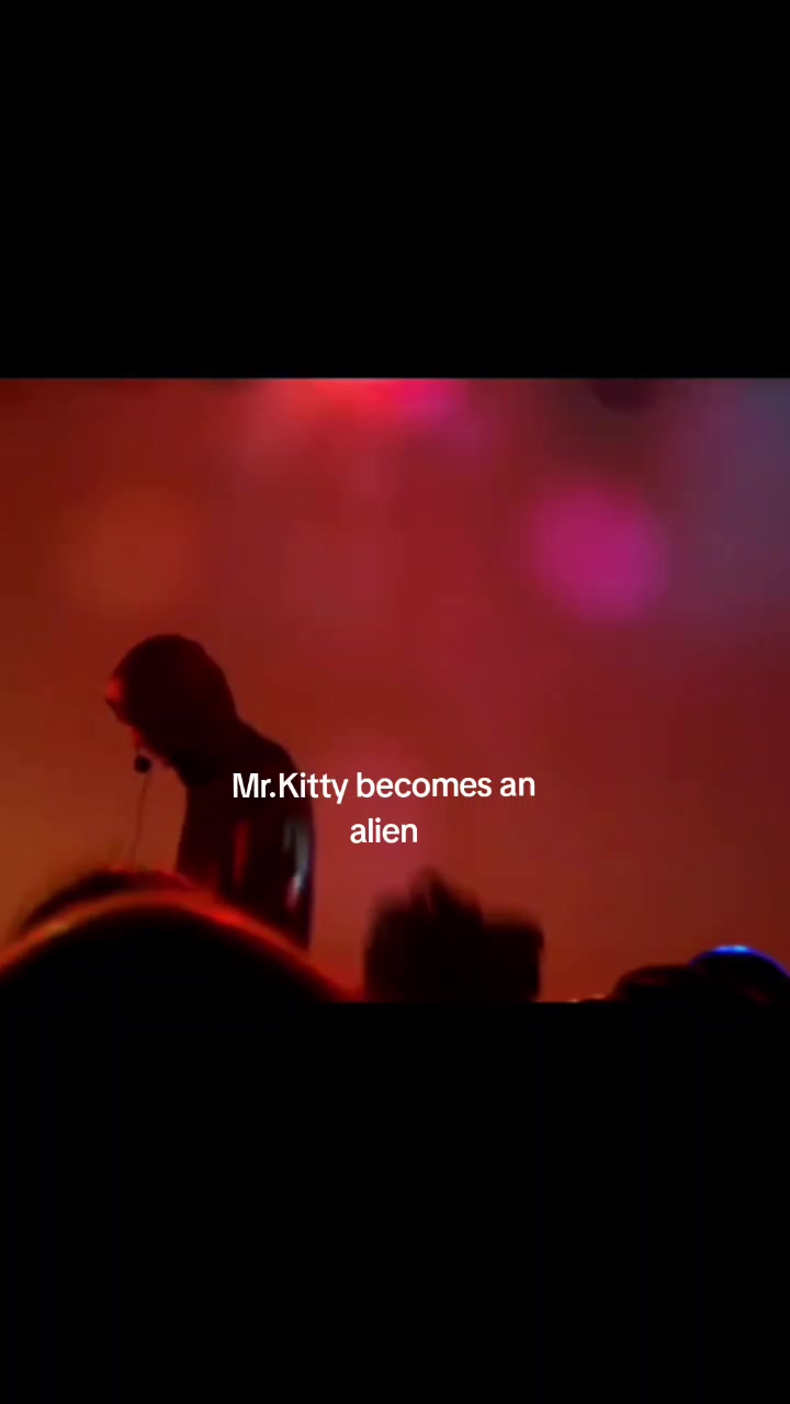 @Daily Mr.Kitty