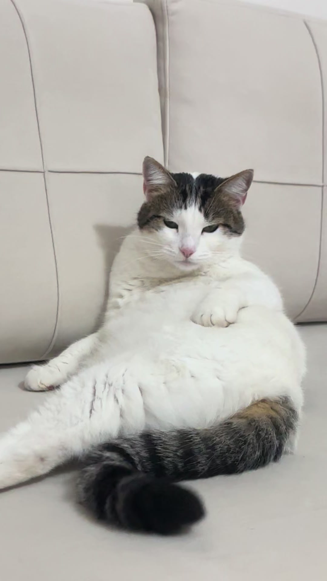 @Kiki