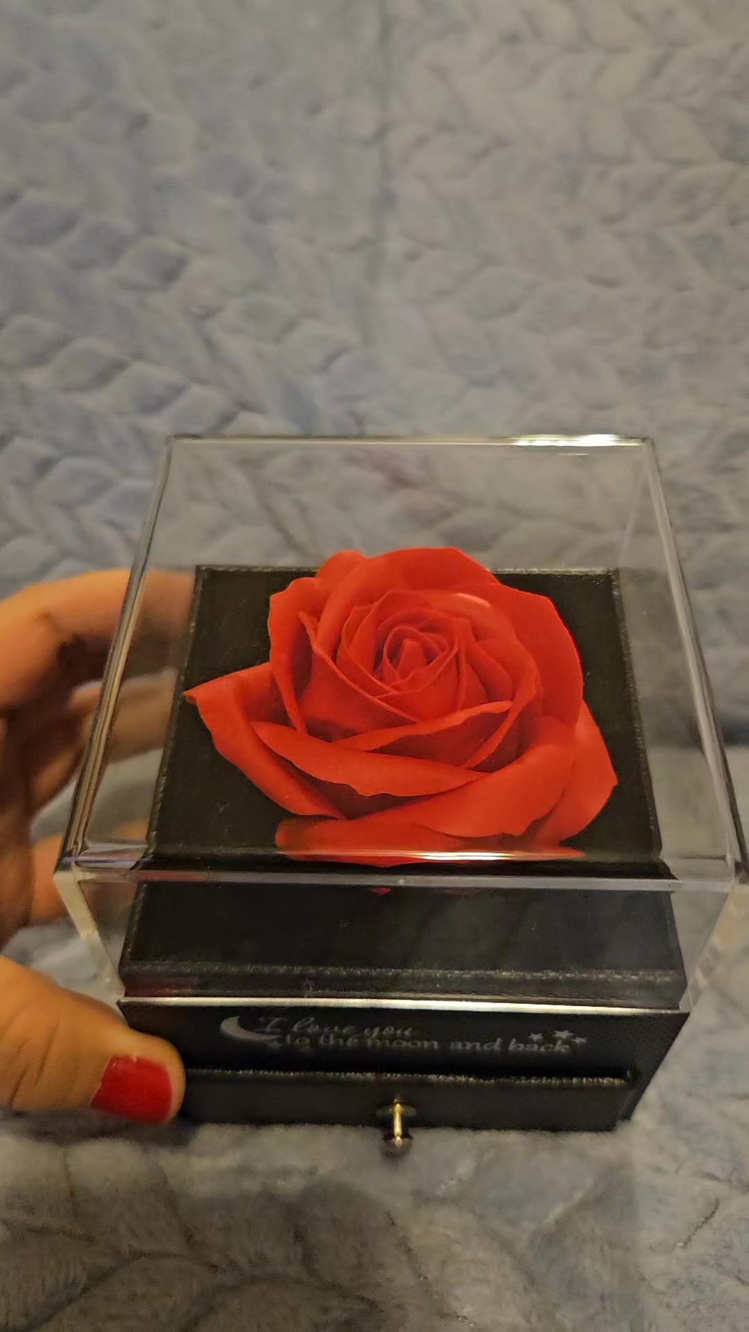@Lana Rose