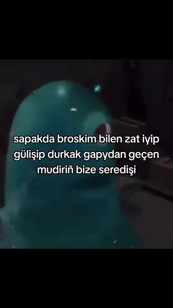 @๐บ๐๐๐๐๐_๐ธ๏ธ