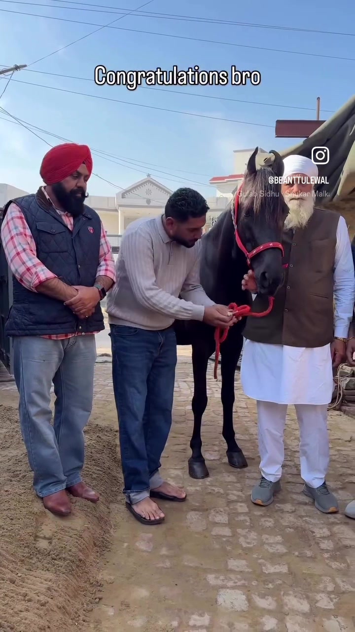 @B&sup2; Stud Farm🇮🇳🐎🇨🇦