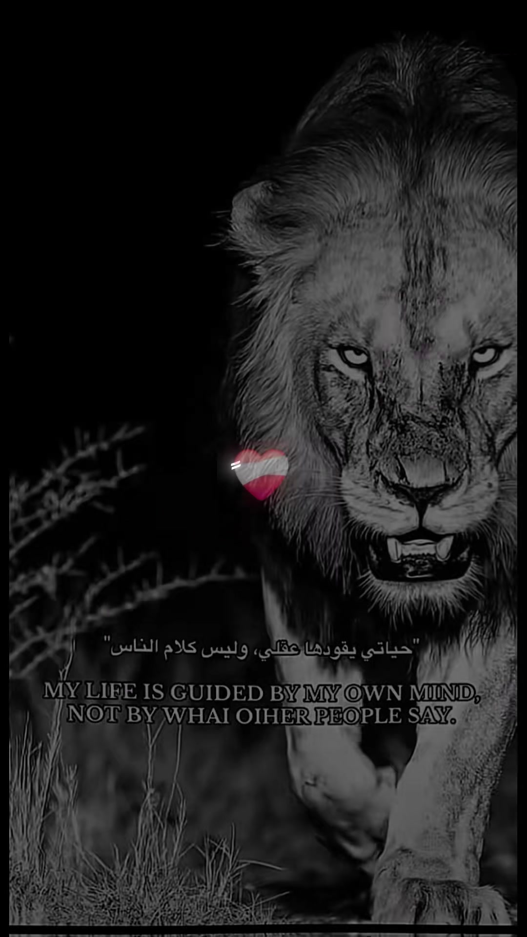 @Mohamed alaa