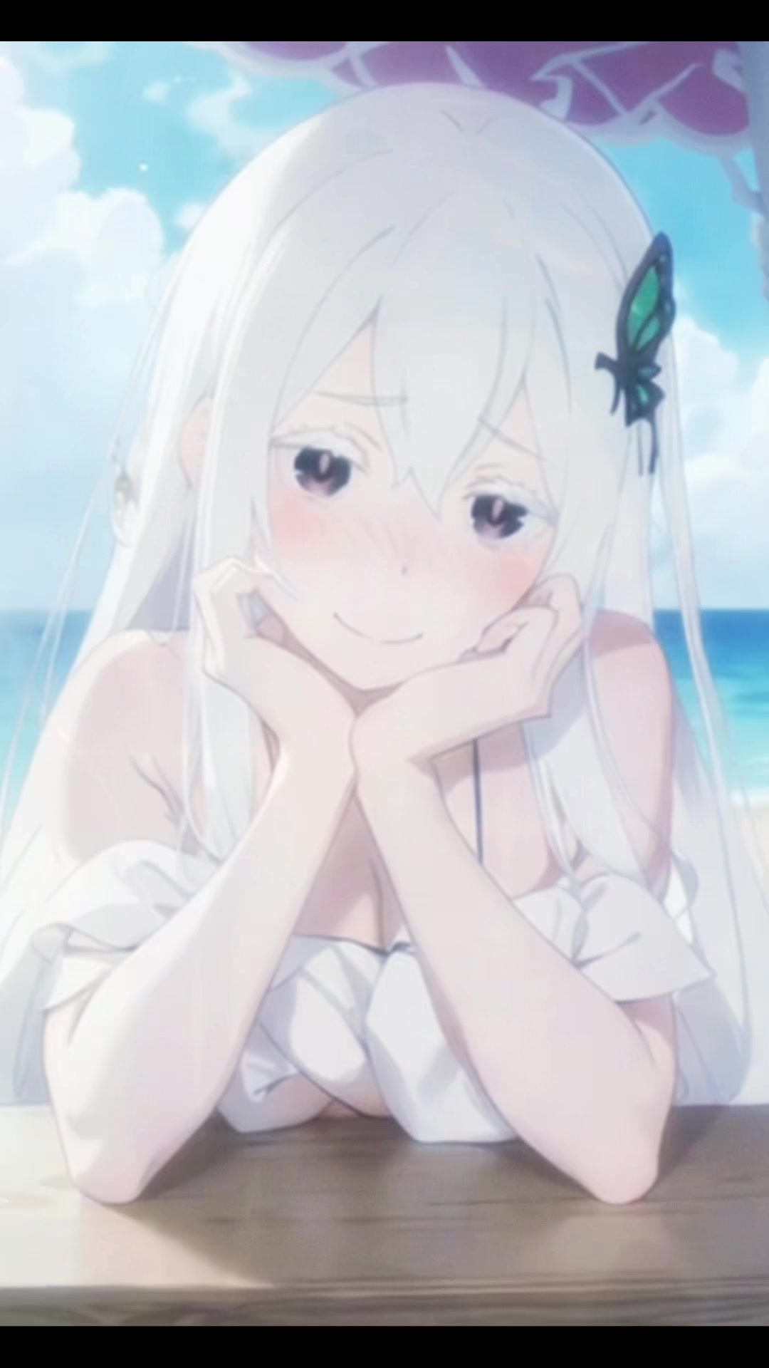 @Milkies/Echidna