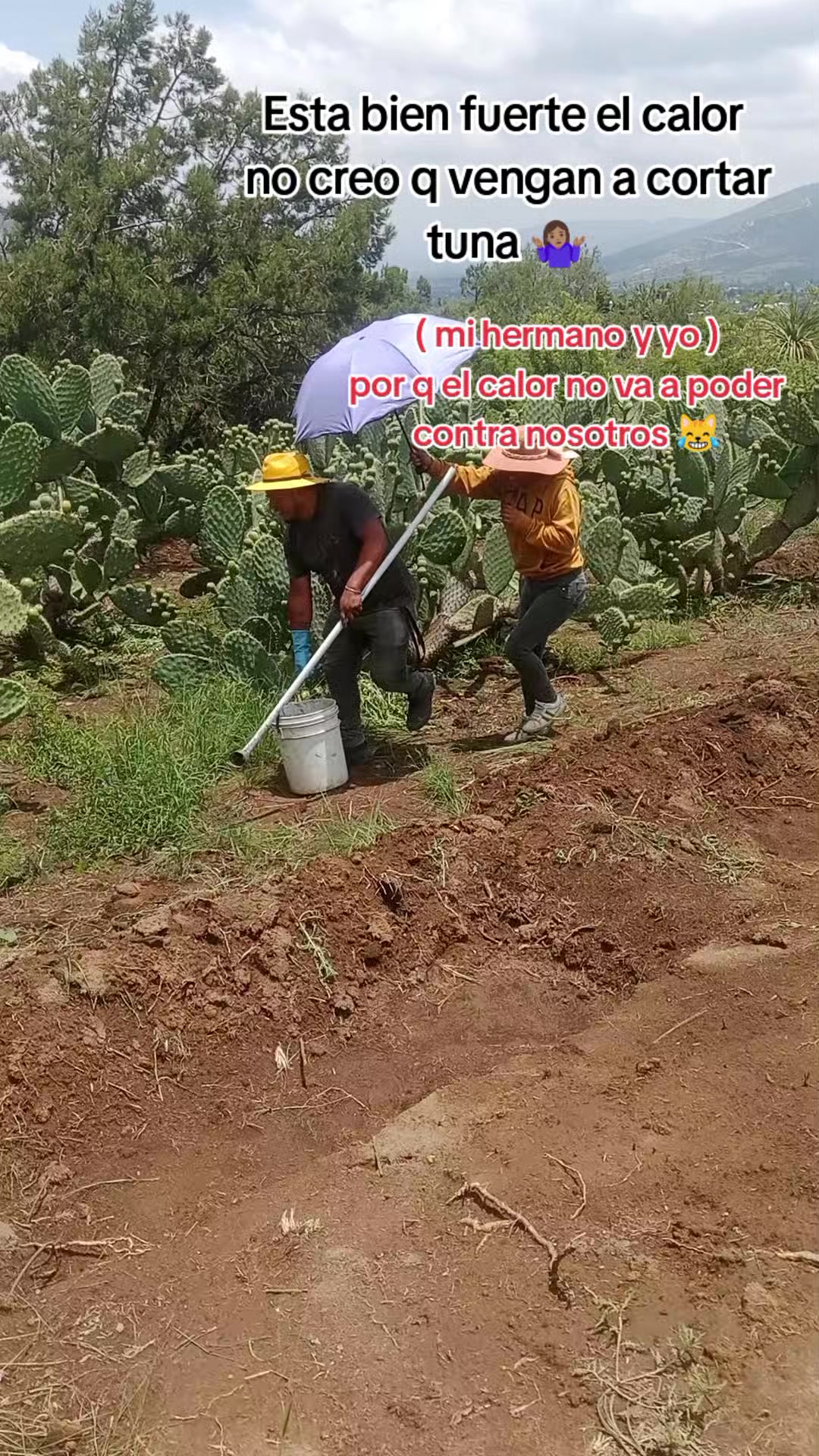@abig🤍.