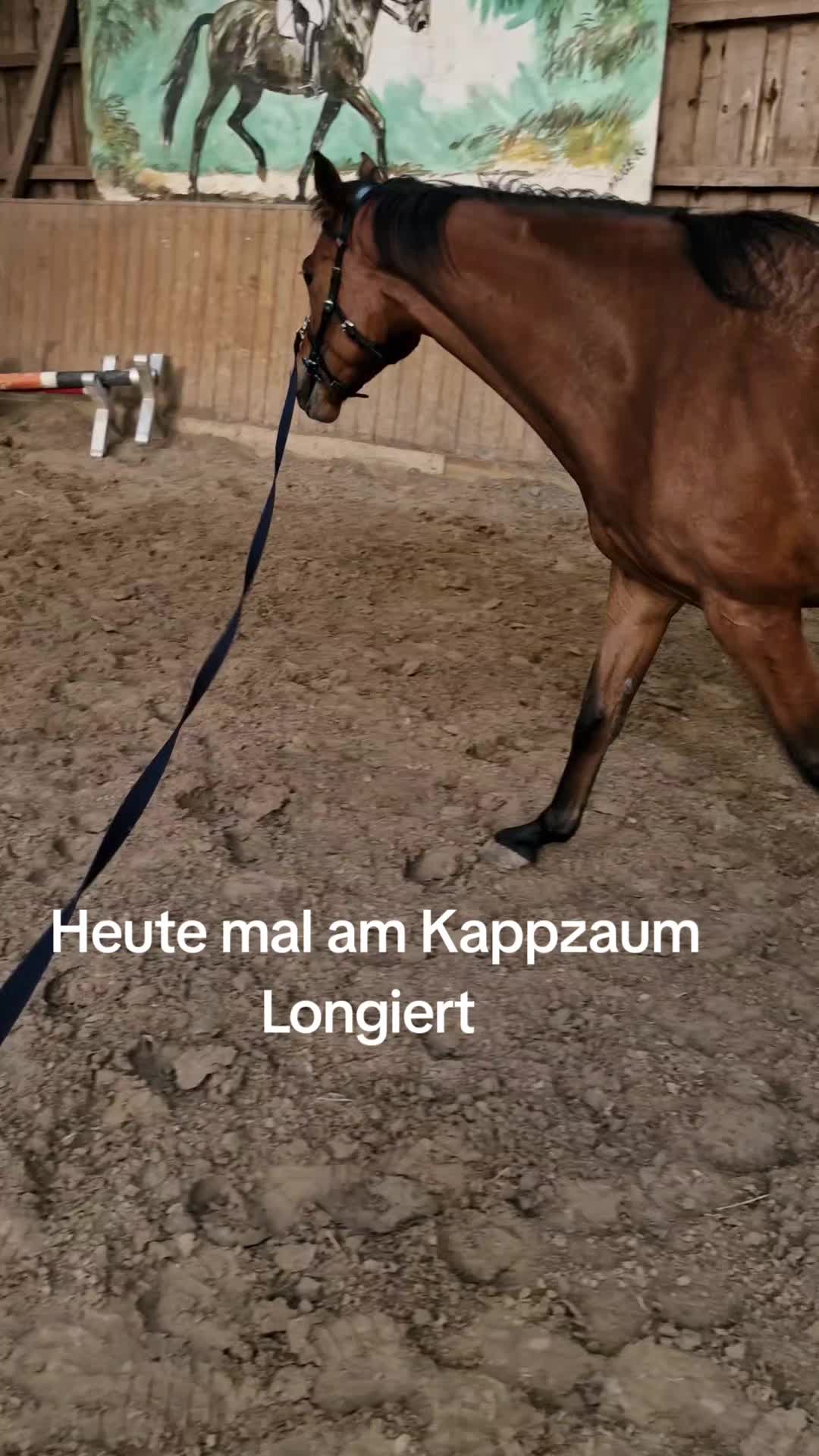 @Katinka, Peach 🐴 und Toffee🐶
